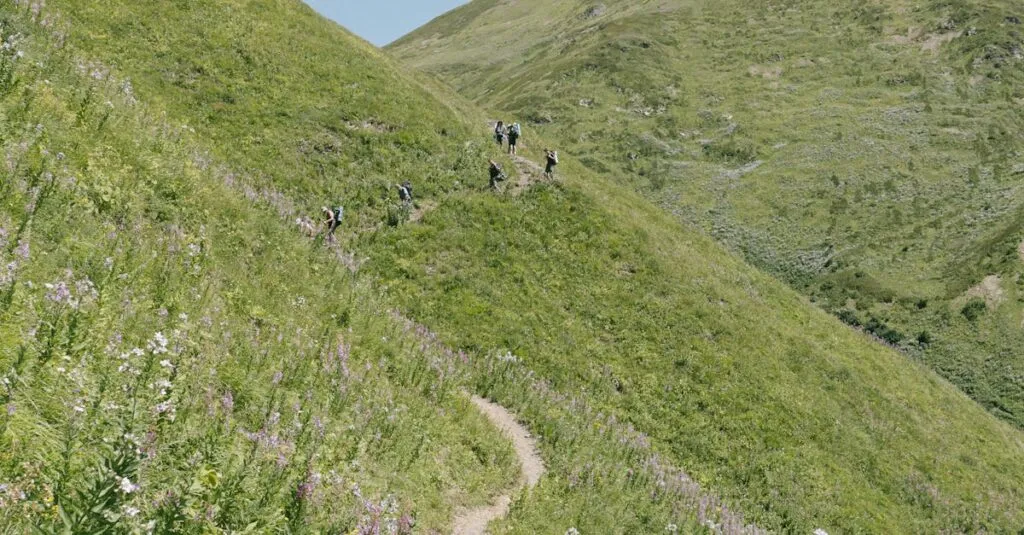 Downloaded Image5dfd1558a053