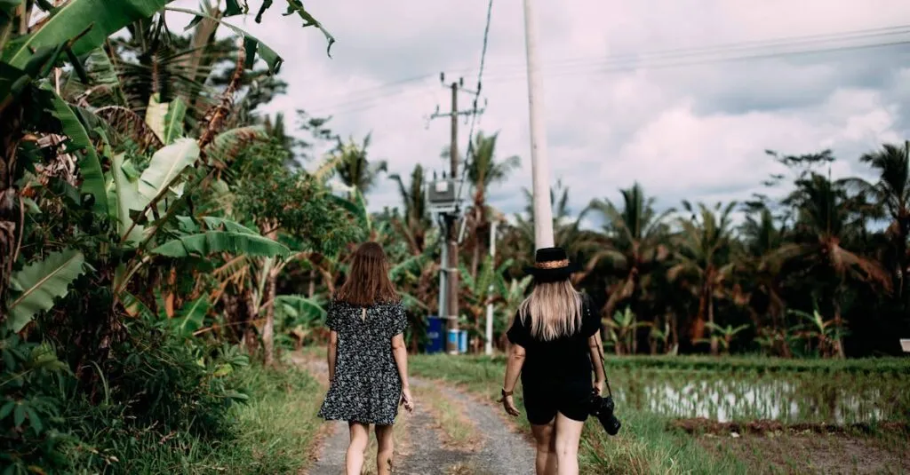 Downloaded Image5dfd1c32707c