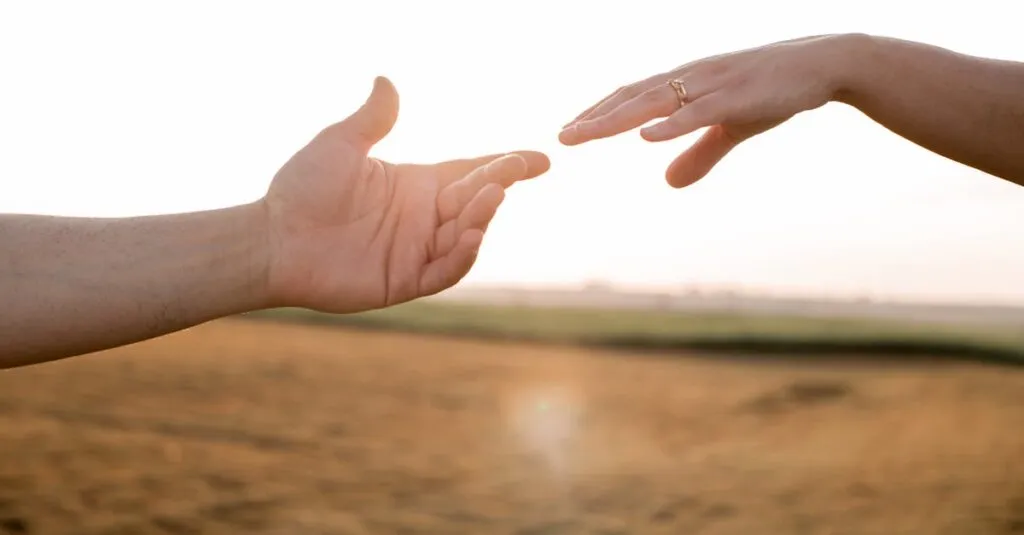 Downloaded Image5dfd7269d1f1