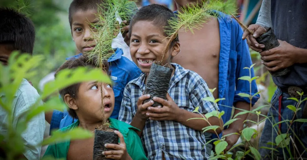 Downloaded Image5fdd1db4342c