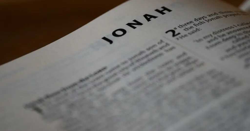 Downloaded Image5fdd3ea44141