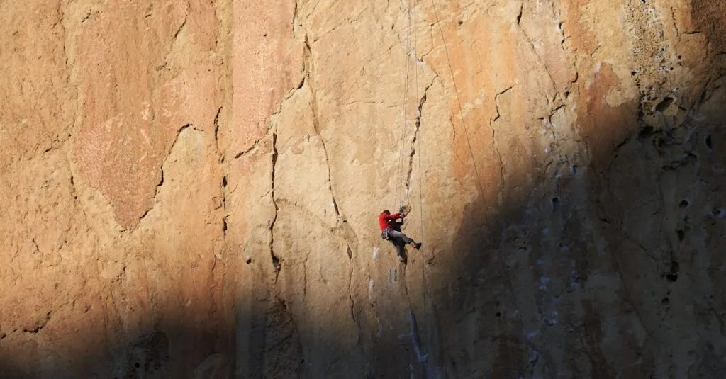 Downloaded Image549c114c2321