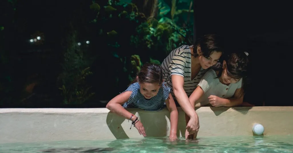 Downloaded Image549c30b28917