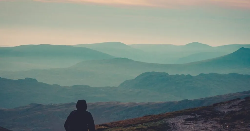 Downloaded Image565348c34403