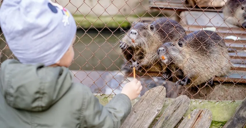 Downloaded Image621f6cbb56b9