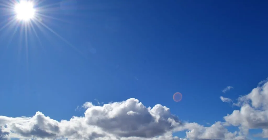 Downloaded Image693f45d47e20