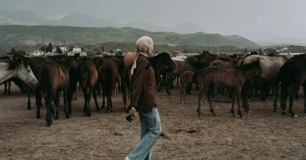 Downloaded Image6d7942d61e20