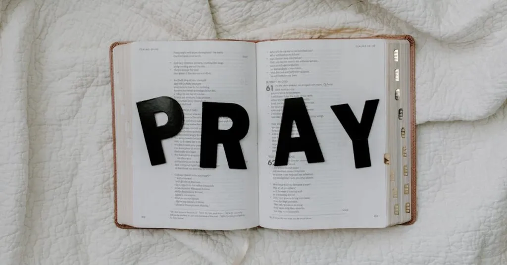 Downloaded Image6d794dcff604